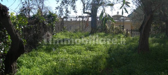 2 bedrooms Apartment in Monterosso al Mare, Italy No. 254833 3