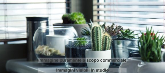 3 rooms House in Caresana, Italy No. 13347 8