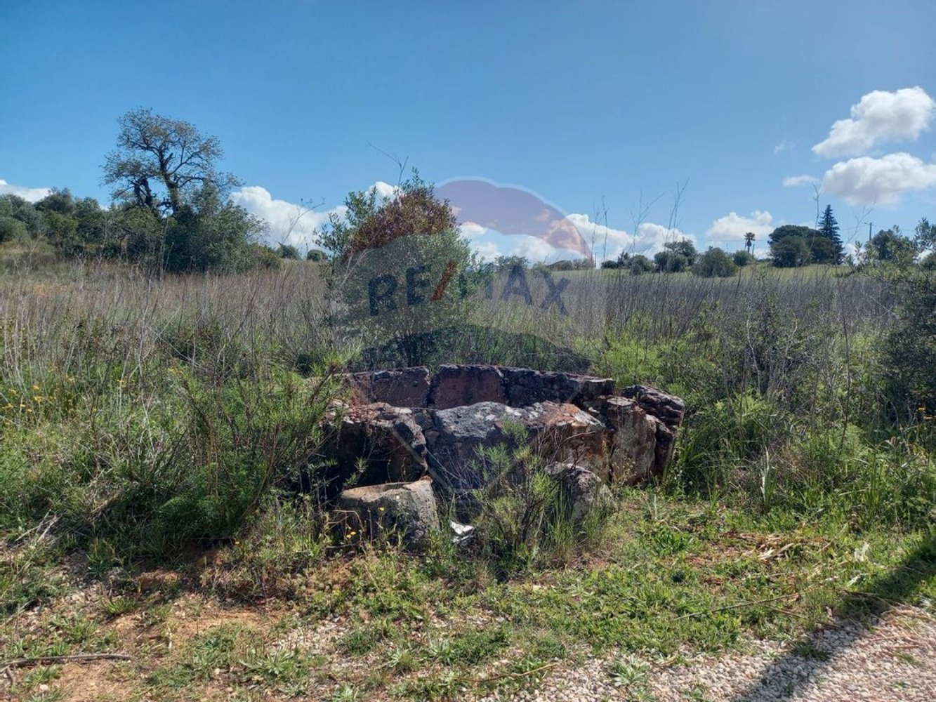 6330m² Land in Silves, Portugal No. 41791