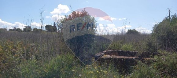 6330m² Land in Silves, Portugal No. 41791 3