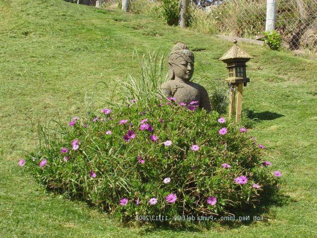3 chambres Maison à Maldonado, Uruguay No. 10901