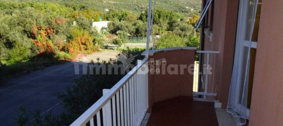 Studio in Ceriale, Italy No. 259656 10