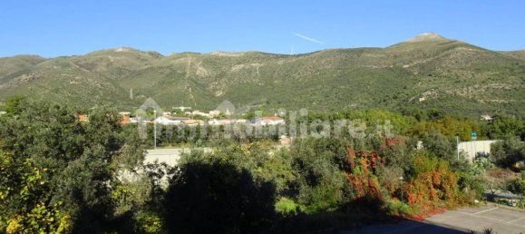 Studio in Ceriale, Italy No. 259656 11