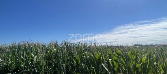 Земельный участок в Валега, Португалия № 25317 11