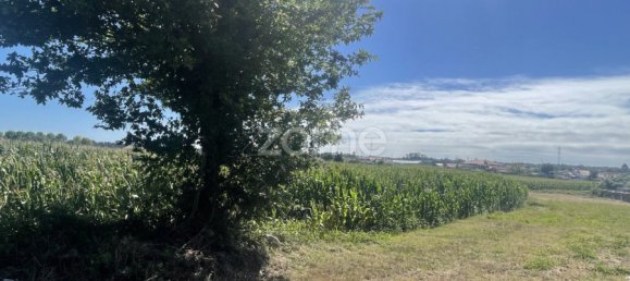 Земельный участок в Валега, Португалия № 25317 6