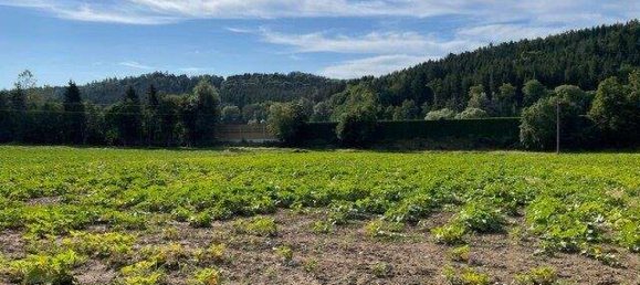 Terreno en Gleisdorf, Austria No. 62706 3