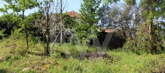 3 Schlafzimmer Haus in Valenca, Portugal, Nr. 79756 4