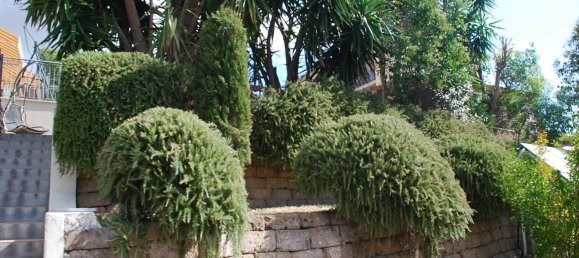 6 rooms House in Magliano in Toscana, Italy No. 87395 7