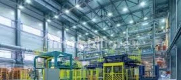 30000m² Land in Pegognaga, Italy No. 138509 3