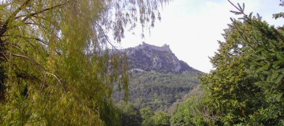  Land in Occitanie, France No. 316096 3