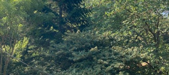  Land in Occitanie, France No. 316096 2