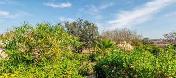 4 bedrooms House in Alandroal, Portugal No. 121654 61