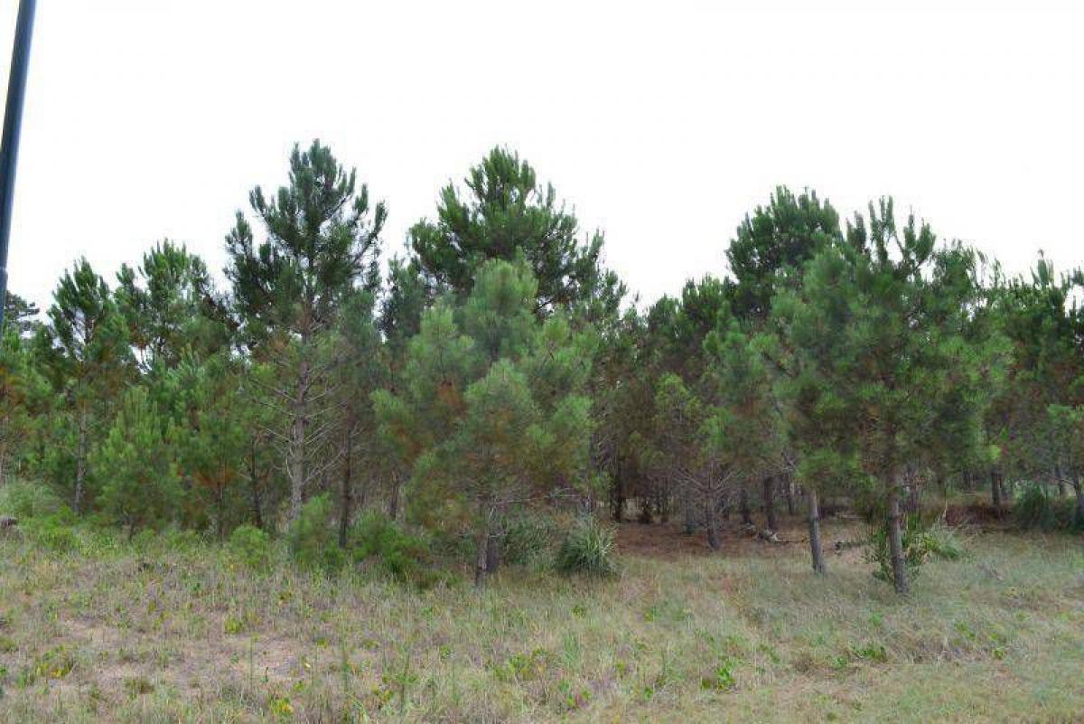  Land in Mar del Plata, Argentina No. 113534