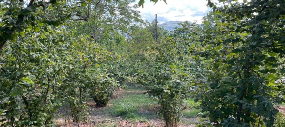 3 bedrooms Apartment in Avellino, Italy No. 290237 20