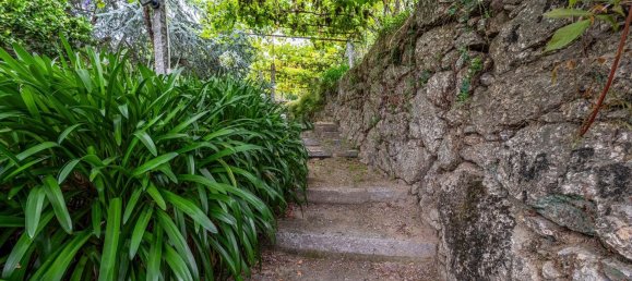 5 bedrooms House in Ruilhe, Portugal No. 43185 35