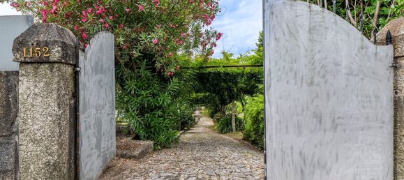 5 bedrooms House in Ruilhe, Portugal No. 43185 27