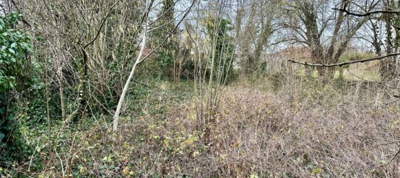 3 bedrooms House in Ottmarsheim, France No. 84446 3