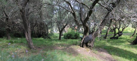 Hôtel à Corfu, Greece 4200m² No. 6280 4