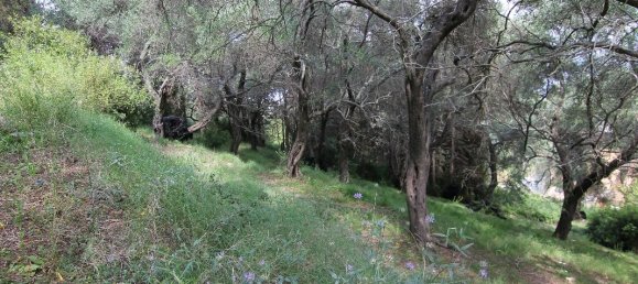 Hôtel à Corfu, Greece 4200m² No. 6280 2