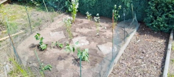 Grundstück in Marzahn, Germany, Nr. 243305 11