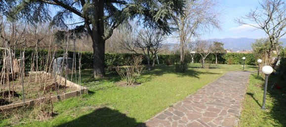 6 rooms House in Massa e Cozzile, Italy No. 91863 16