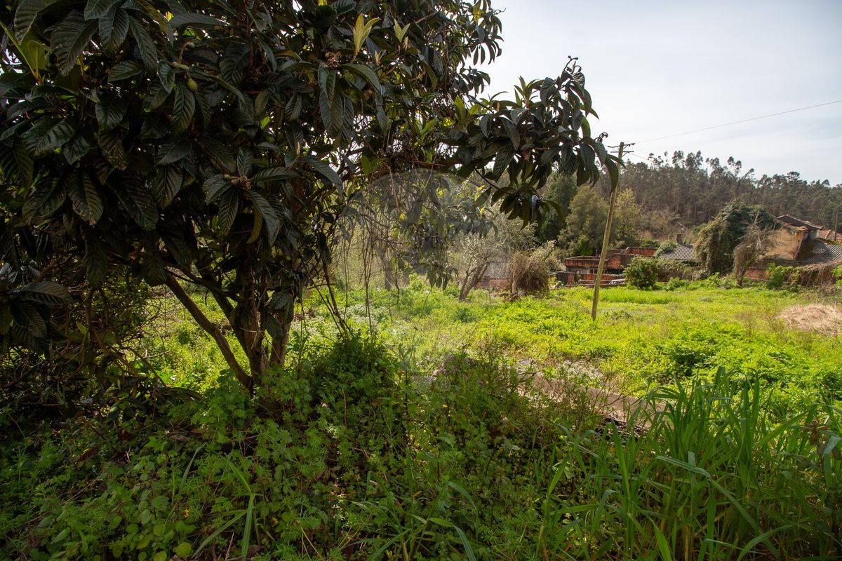 4 غرف نوم منزل في Angeja, Portugal رقم 187903