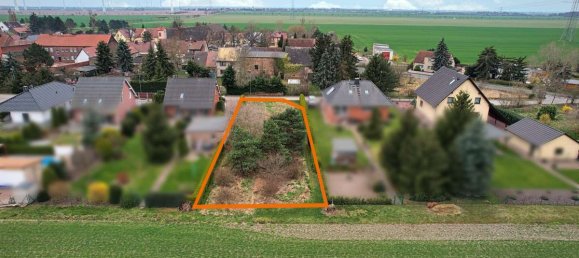 Land in Anhalt-Bitterfeld, Germany No. 219919 12
