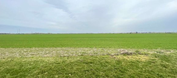 Land in Anhalt-Bitterfeld, Germany No. 219919 4