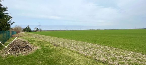 Land in Anhalt-Bitterfeld, Germany No. 219919 6