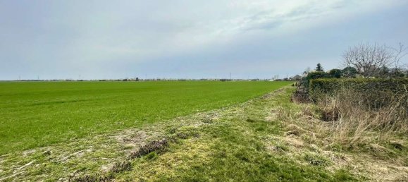 Land in Anhalt-Bitterfeld, Germany No. 219919 5