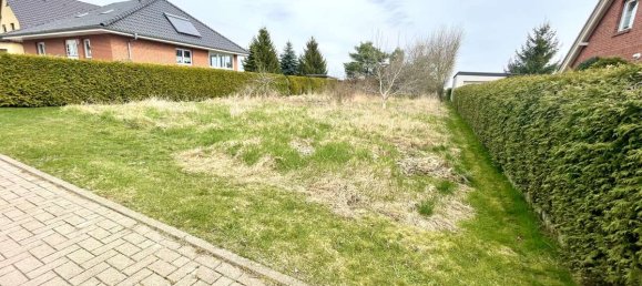 Land in Anhalt-Bitterfeld, Germany No. 219919 3