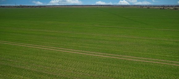 Land in Anhalt-Bitterfeld, Germany No. 219919 11