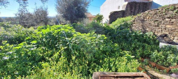 2 bedrooms House in Rosmaninhal, Portugal No. 31498 12