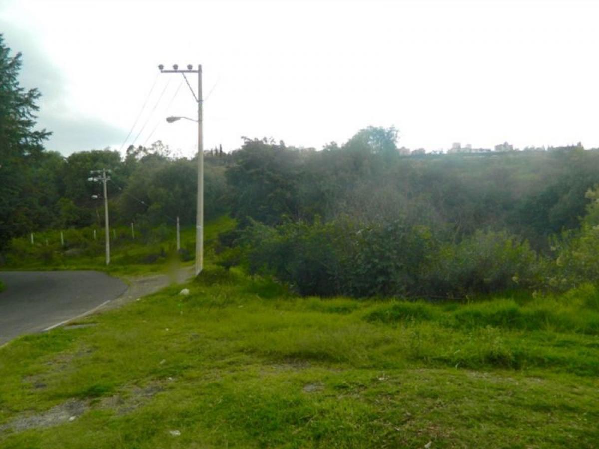 Grundstück in Naucalpan de Juarez, Mexico, Nr. 202812