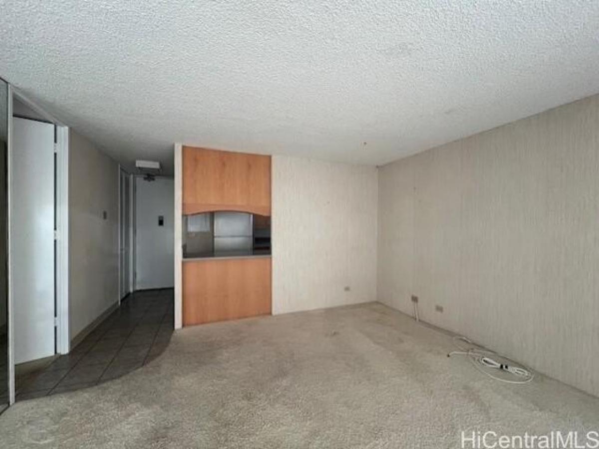 Studio in Honolulu, USA No. 381534