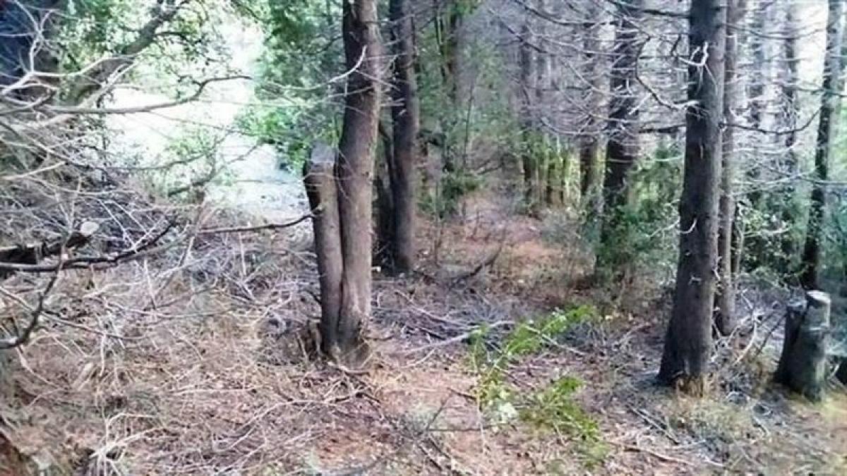  Land in Neuquen, Argentina No. 31119