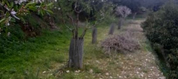 Земельный участок 3349м² в Канильяс де Альбайда, Испания № 184970 8