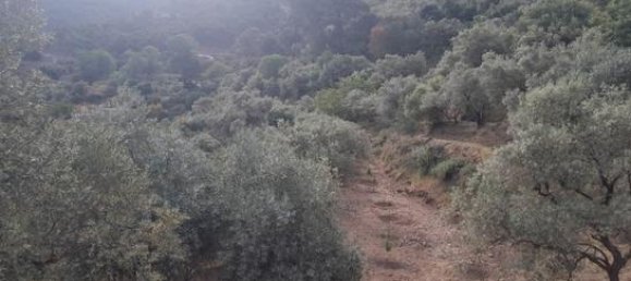 Земельный участок 3349м² в Канильяс де Альбайда, Испания № 184970 7