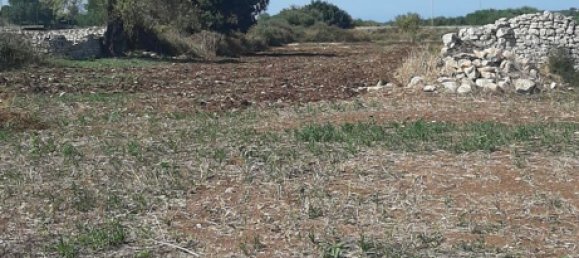 12غرفة منزل في Modica, Italy رقم 255908 21