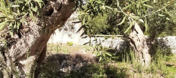 12غرفة منزل في Modica, Italy رقم 255908 6