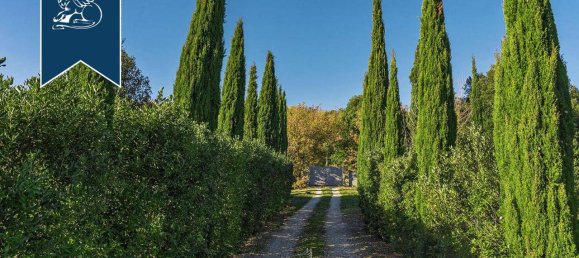 10 rooms Villa in Gaiole in Chianti, Italy No. 65629 21