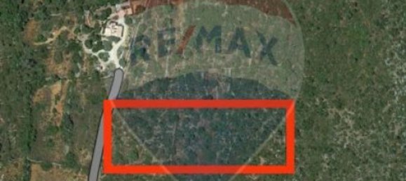 Terreno en Olhao, Portugal 14640 m² No. 35593 2