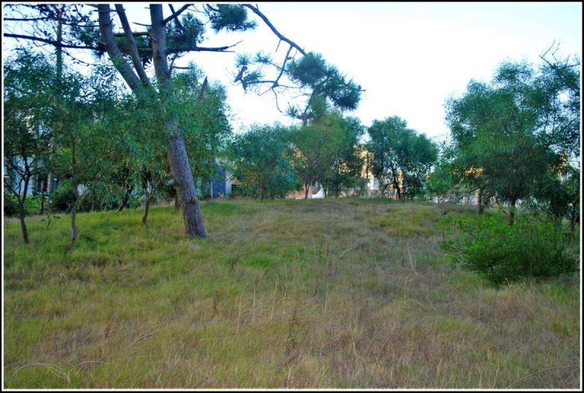  Land in Mar del Plata, Argentina No. 116187