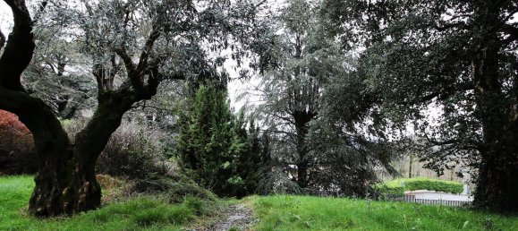 5 rooms Villa in Como, Italy No. 286298 35