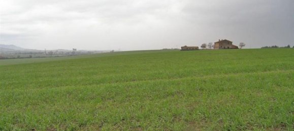 Studio in Castiglione del Lago, Italy No. 1464 2