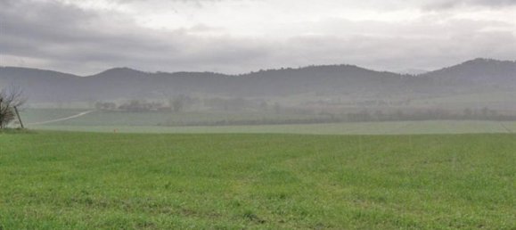 Studio in Castiglione del Lago, Italy No. 1464 5