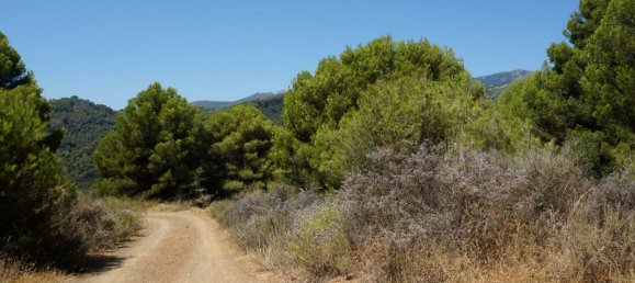 3 bedrooms House in Yunquera, Spain No. 53257 11