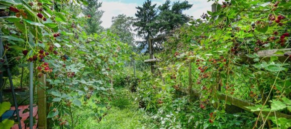 Дом с 5 комнатами в Инсбрук-Штадт, Австрия № 202648 5