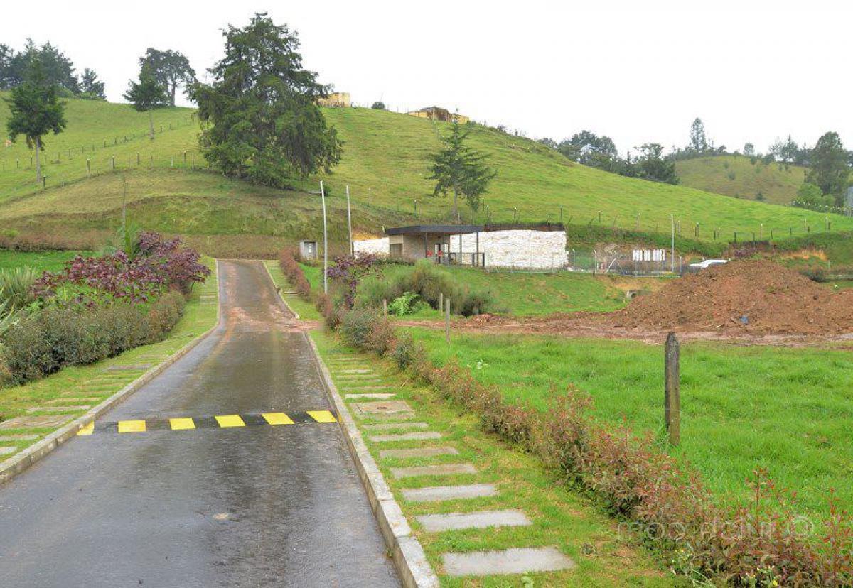 Terrain à Antioquia, Colombia No. 312