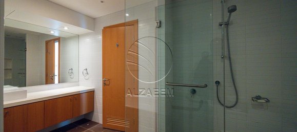 2 bedrooms Apartment in Al Raha Beach, UAE No. 29129 18